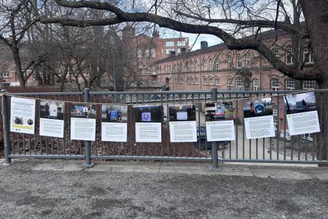 Yhdeksän köydessä riippuvaa valokuvalevyä.