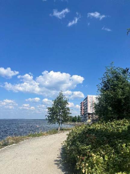 Hiekkainen rantapolku järven rannassa. Kesäinen ja aurinkoinen päivä. Polun varrella kasvaa pensaita ja pieniä puita. Taustalla näkyy kerrostaloja.